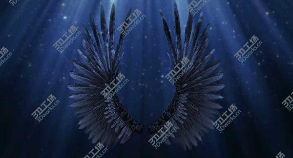 images/goods_img/20210312/Bird Wings Rigged/1.jpg